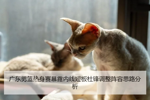 广东男篮热身赛暴露内线短板杜锋调整阵容思路分析