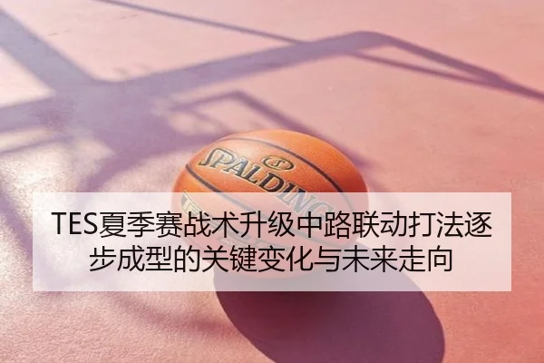 TES夏季赛战术升级中路联动打法逐步成型的关键变化与未来走向